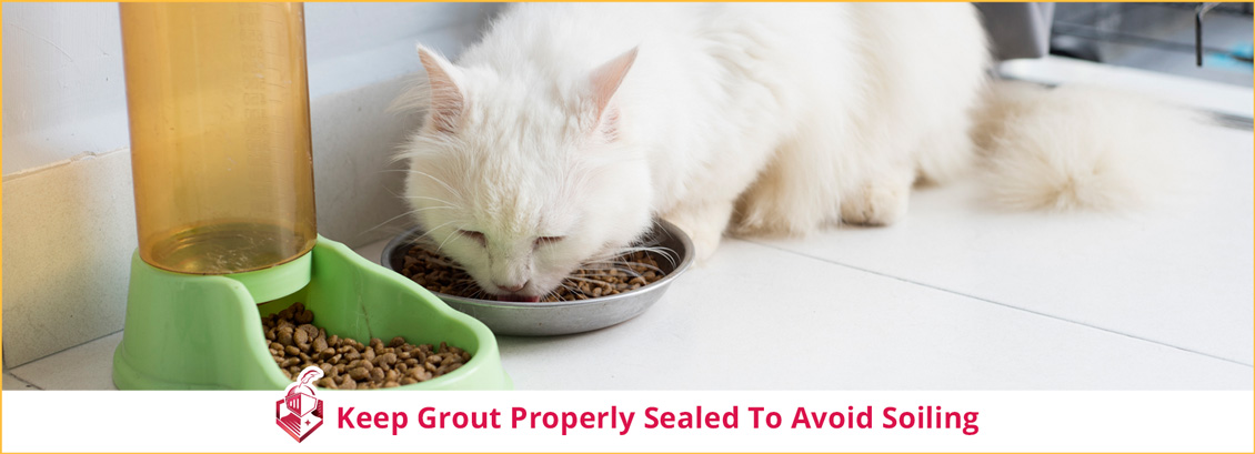 Keep Grout Properly Sealed to Avoid Soiling 