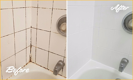 Before and After Picture of a Holly Springs Shower Tile and Grout Cleaned to Eliminate Mold