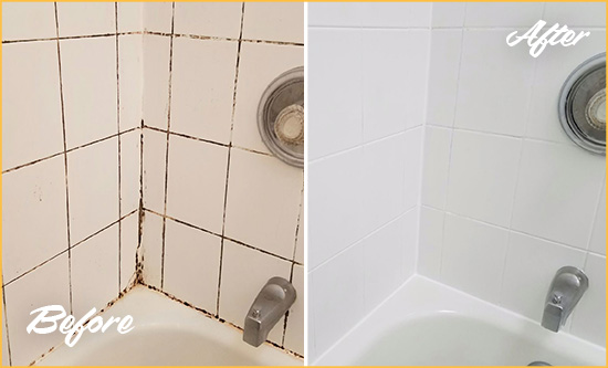 Before and After Picture of a Holly Springs Tub Grout Cleaned to Eliminate Mold