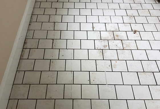 Grout Recoloring Before