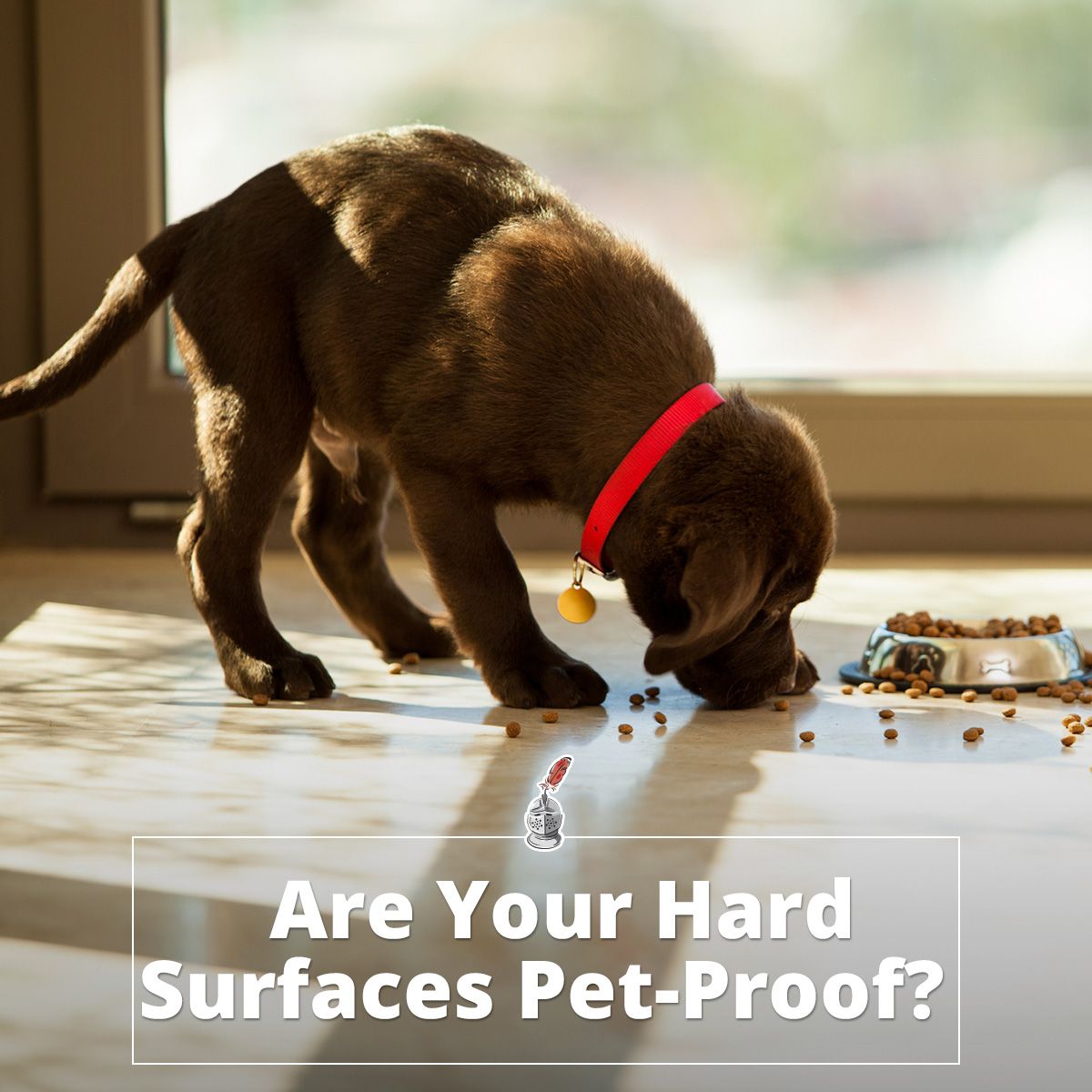Are Your Hard Surfaces Pet-Proof